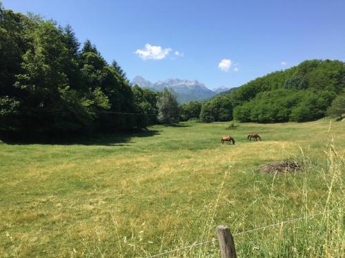 Le Capanne00098